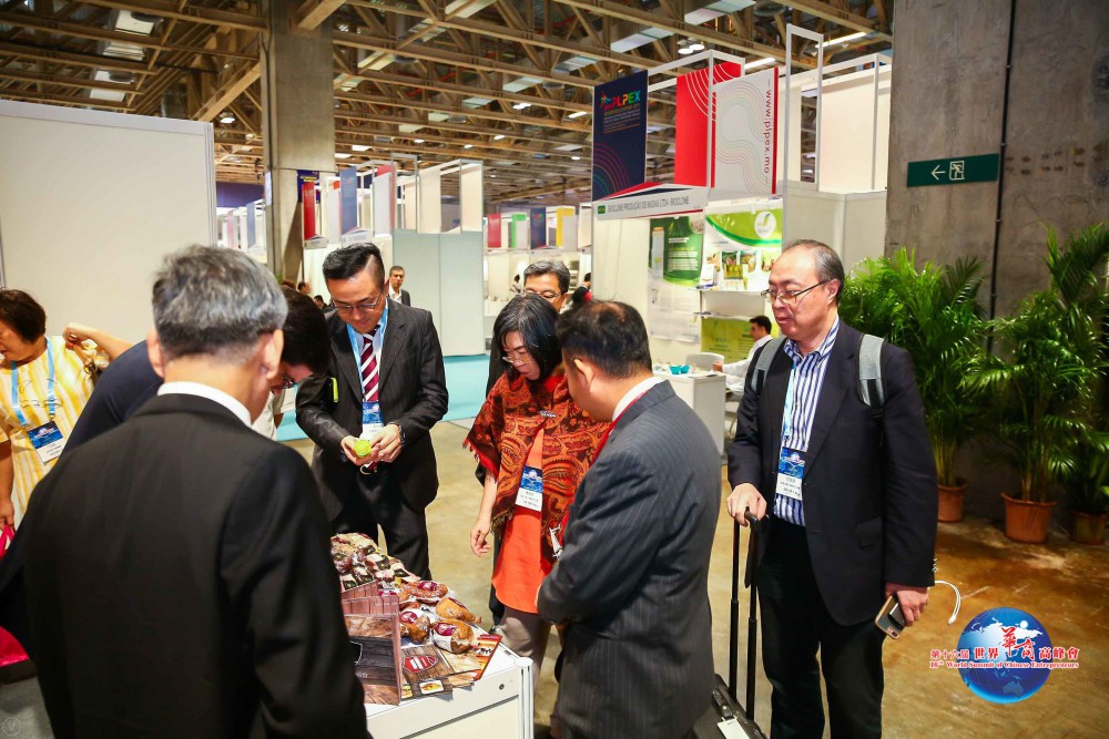 第十六屆世界華商高峰會參觀PLPEX一景。